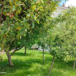 whatsapp image 2025 06 05 at 15.33.20 ec689e16